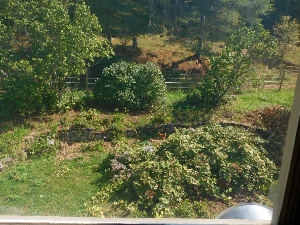 No View Farm Panzió Rumford Kültér fotó